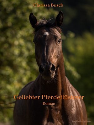 cover image of Geliebter Pferdeflüsterer